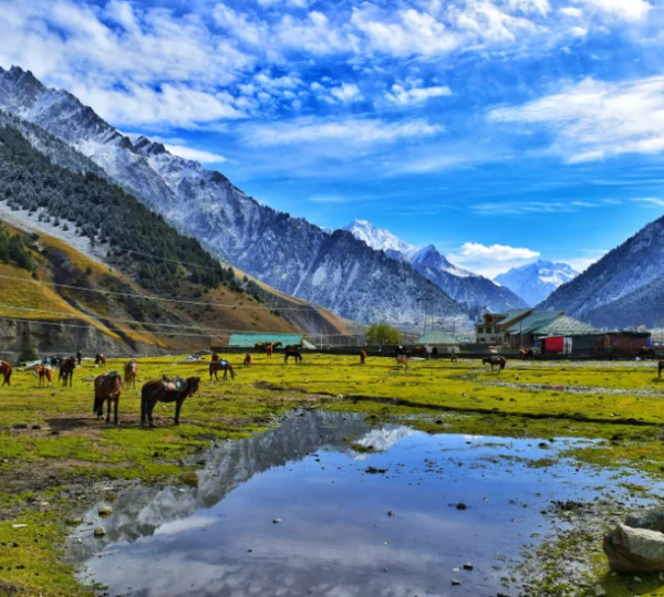 Kashmir Tour Package 4N/5D