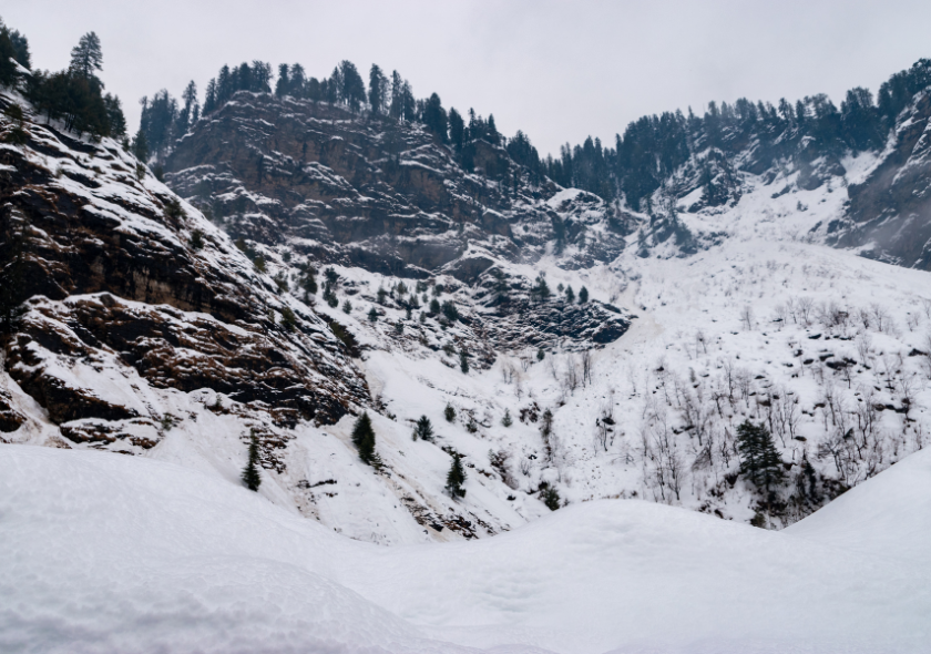 Kullu Manali Package