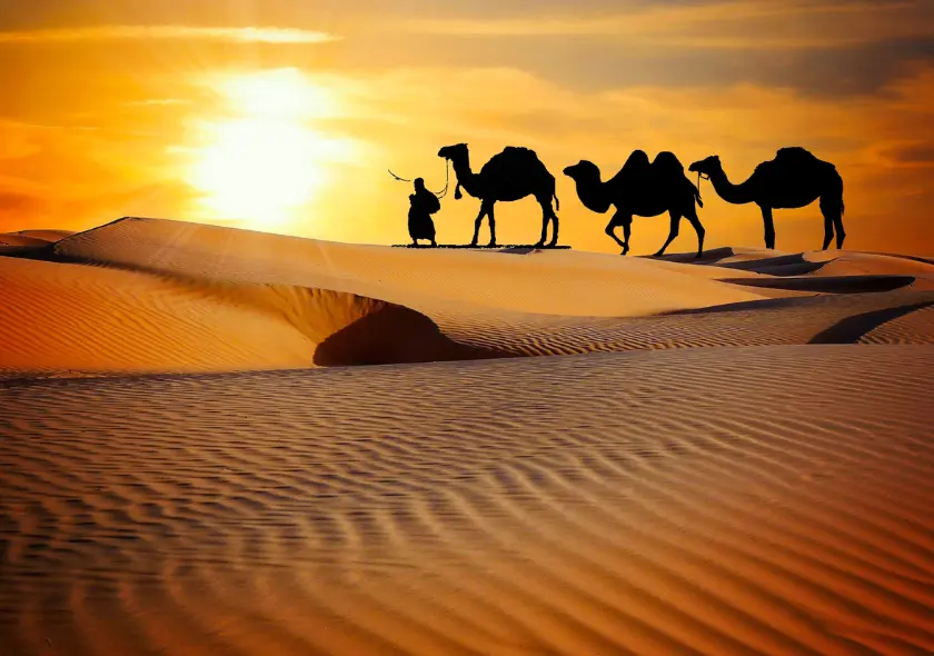 Rajasthan Tour Package